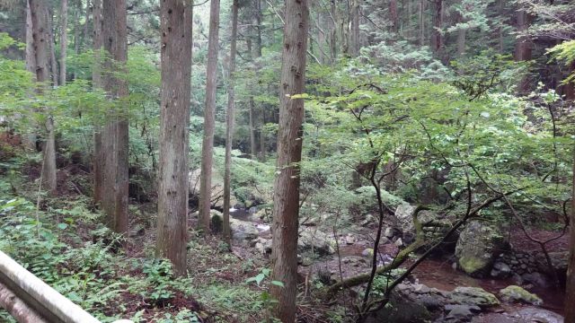 川幅が狭く