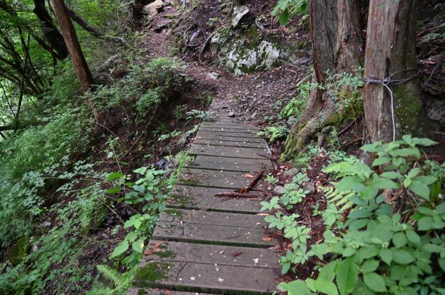 登山道