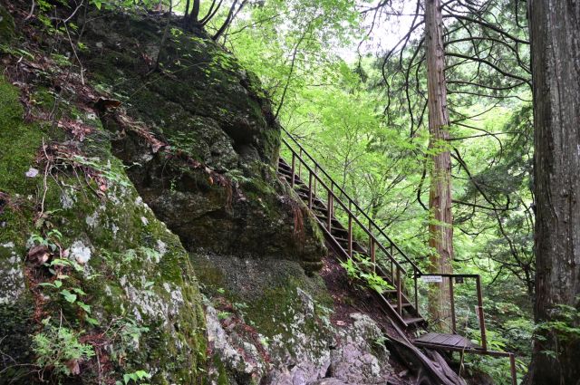 大岳山方面へ