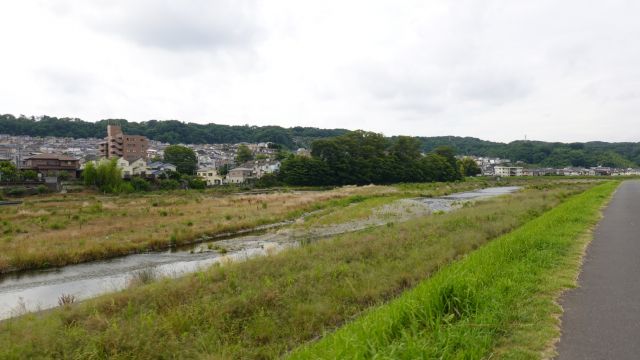 浅川左岸