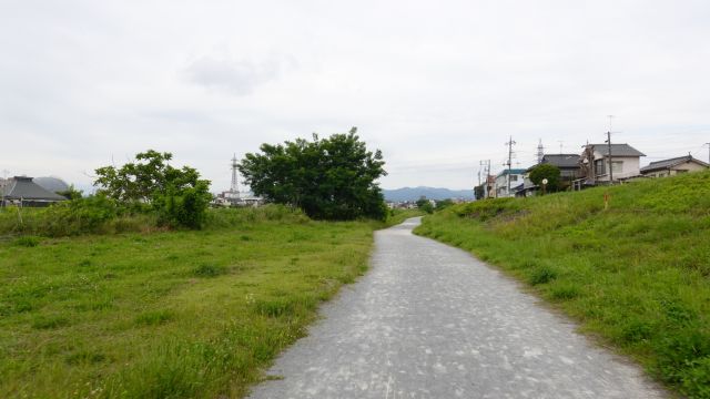 川口川合流地点