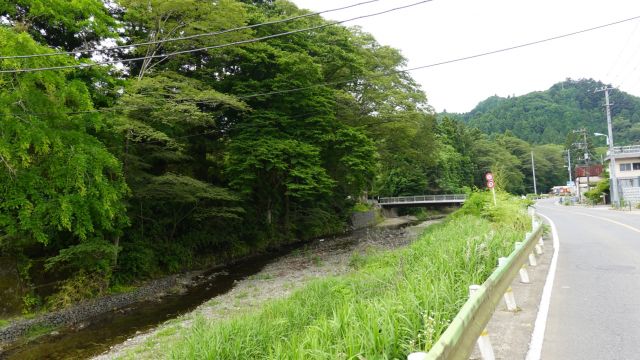 北浅川右岸は森