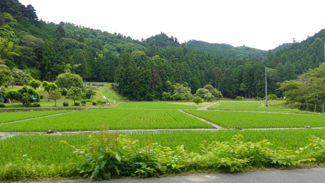 田園