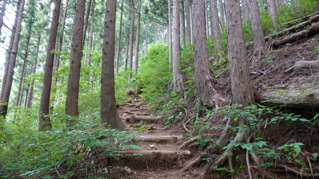 和田峠近くの登山道到着です。