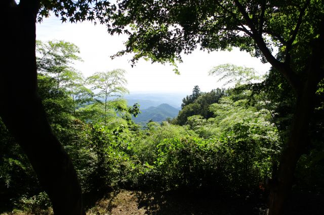 山頂からの展望