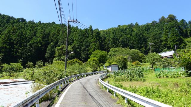 日差しが厳しい