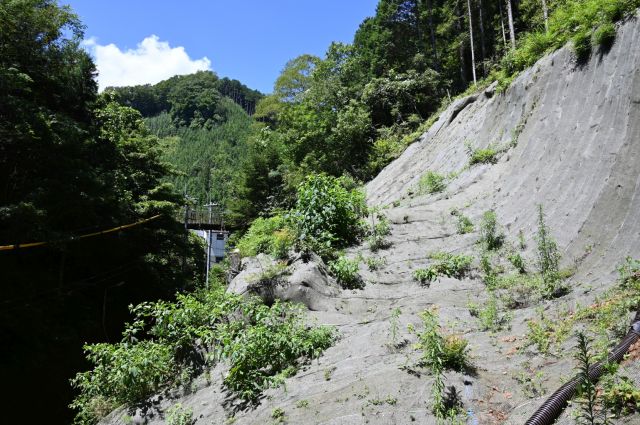 登山道がない