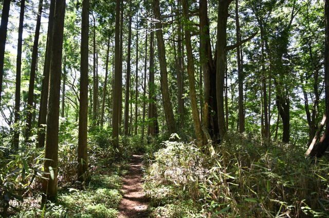 馬頭刈山へ向けて出発