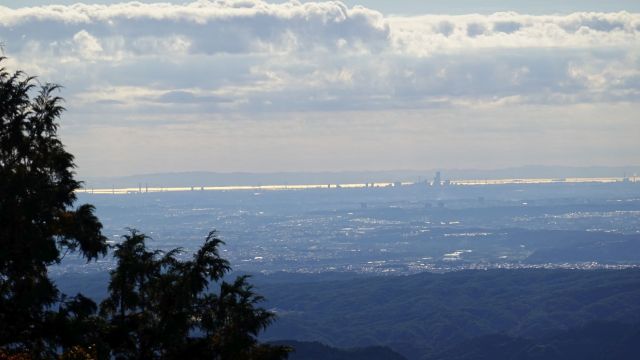 山頂近くからの展望