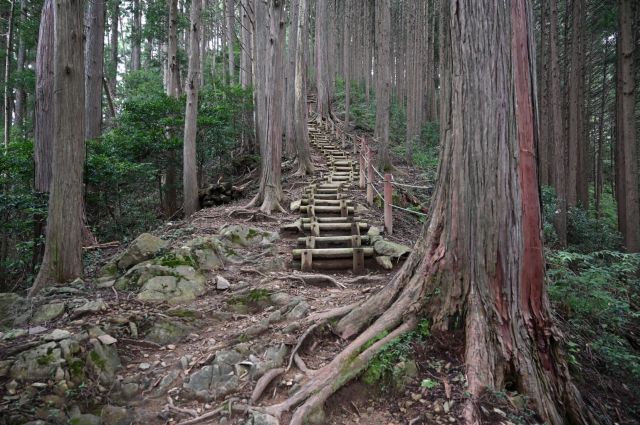 軍畑方面の登山道