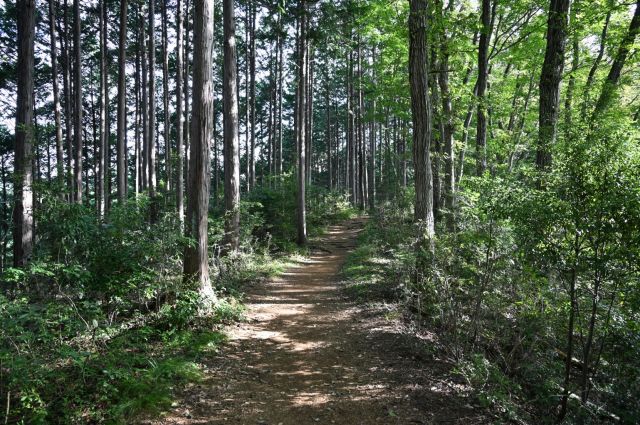 登山らしく