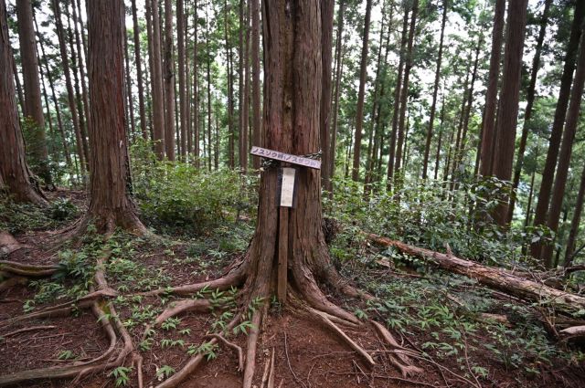 ノスザワ峠