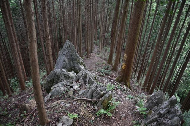 急坂の終わりに岩