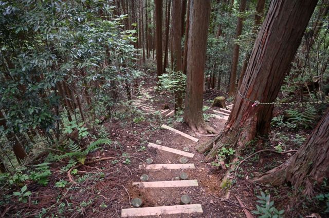 下山は木の階段