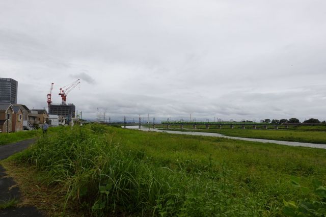 京王線は高尾山ラッピング