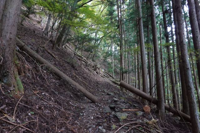 奥沢から登山開始