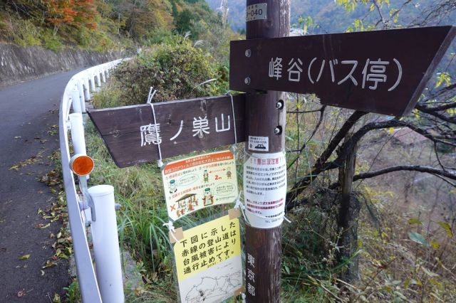 再び登山道へ