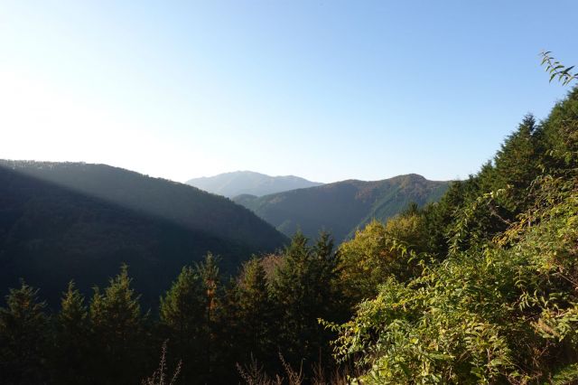 登山道入ってすぐで振り向く