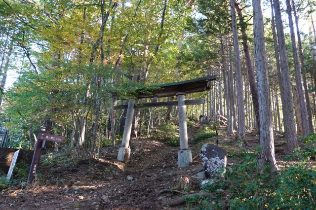 鳥居が現れる