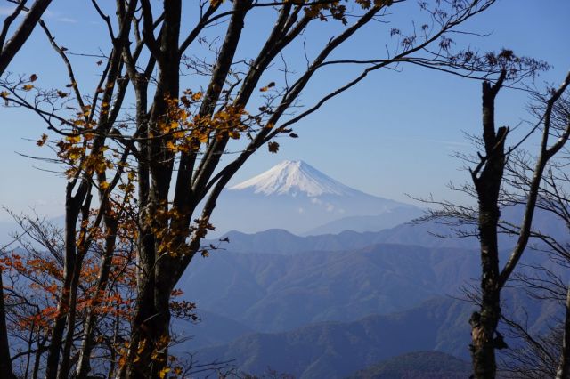 隙間から南み見える富士山