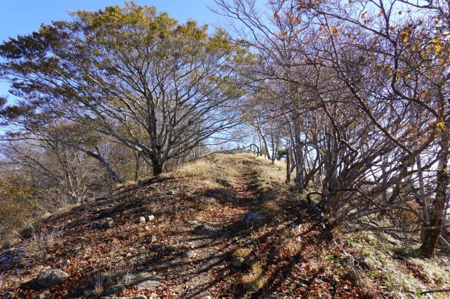 山頂へ