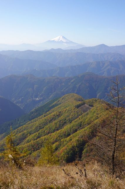 縦写真がばえる