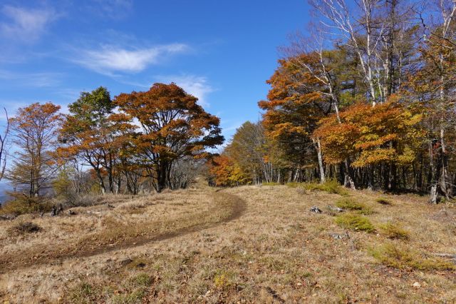 尾根道は紅葉と青空