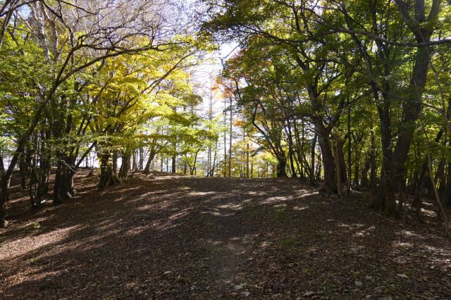 つかの間の広場