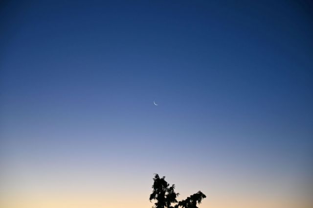 月がきれい