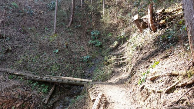  境川水源