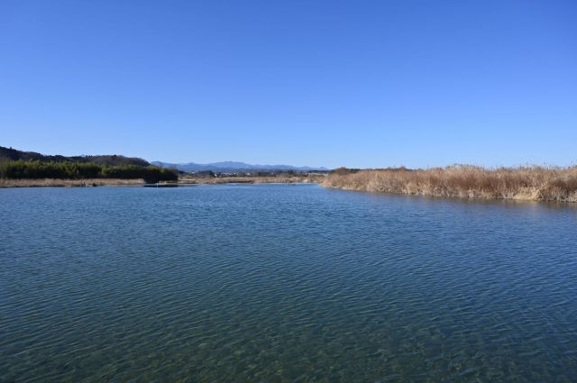 堰で水が溜まっている