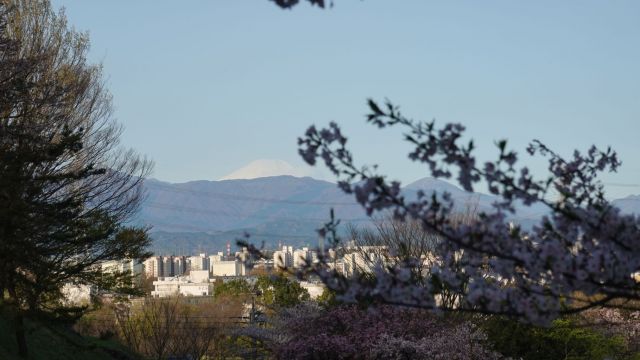 隙間から富士山