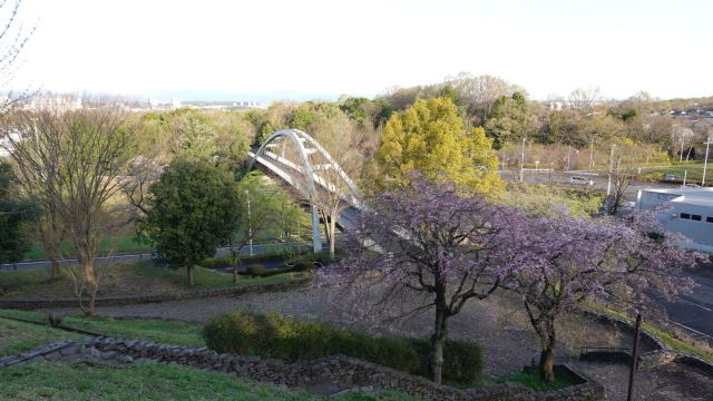 弓の橋