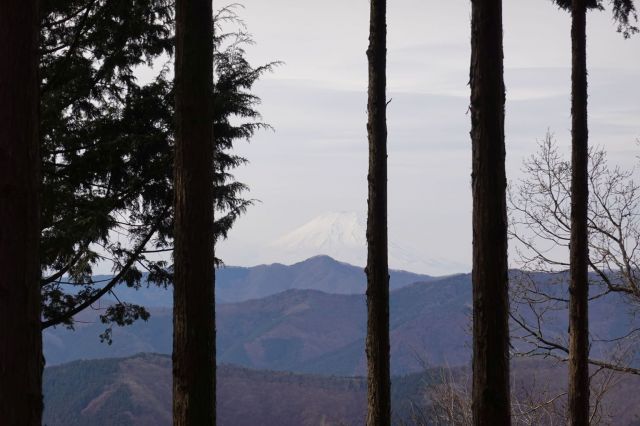 展望は少し下ってからのほうがいい