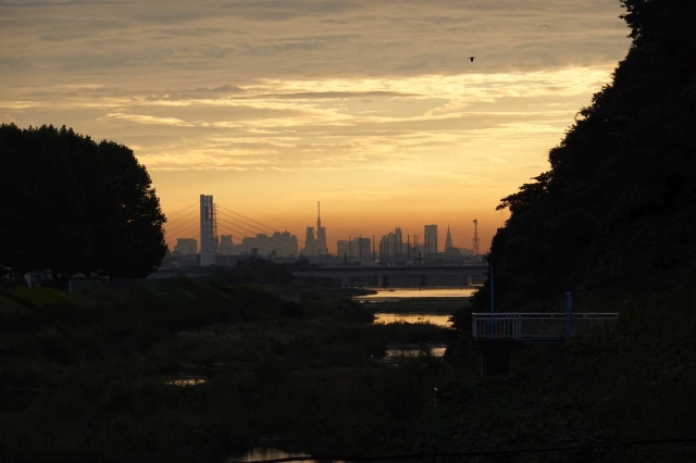 新宿が燃えるような色に