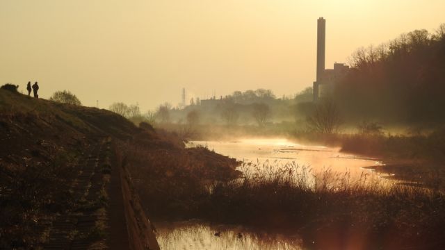 朝霧の大栗川