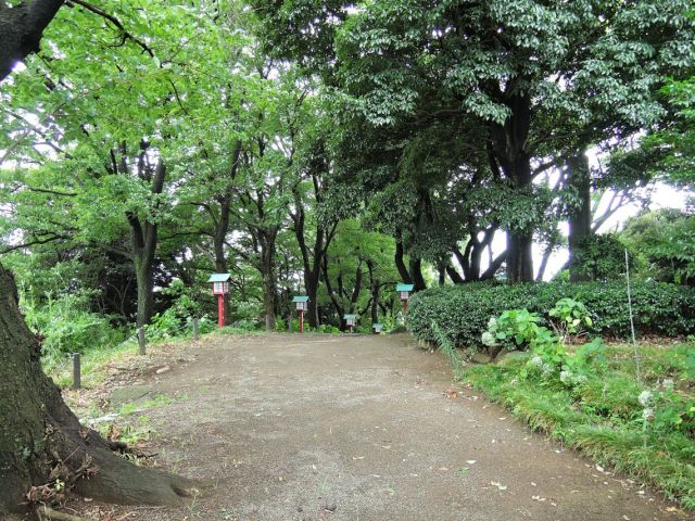 赤灯籠に囲まれれて