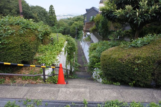 赤い実の道につながる細い道