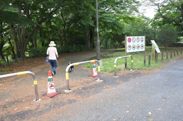 左手には谷戸の丘方向へのアスファルトの道路