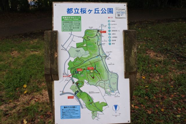 公園内の推奨コース