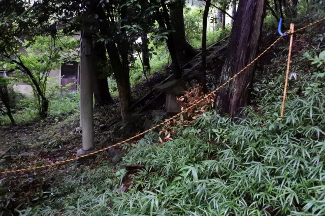 横を見ると同じような鳥居が