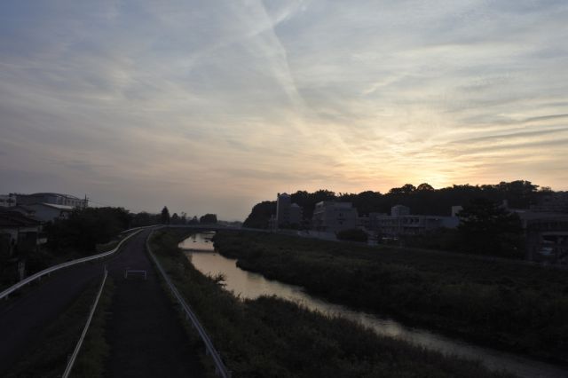 向ノ岡大橋からの大栗川