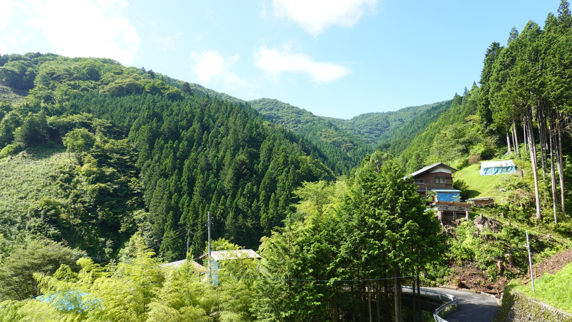 集落の道も険しい 槇寄山 大羽根山 多摩の自然 Com