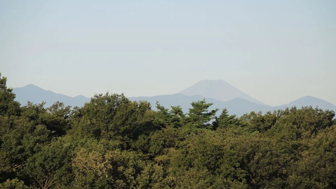 都立桜ヶ丘公園　遊びの広場からの夏の富士山