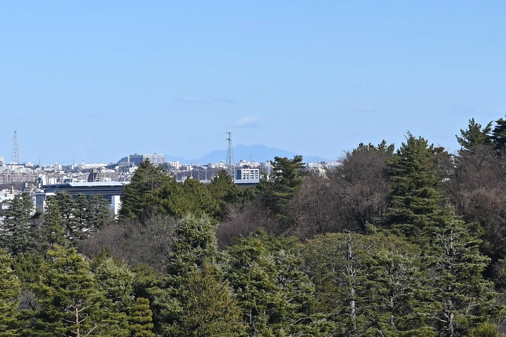 ゆうひの丘からの筑波山